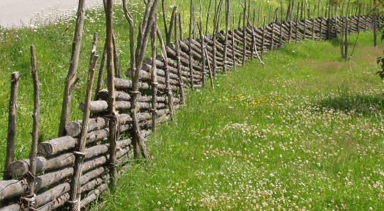 Sm&aring;landsg&auml;rdsg&aring;rd i Vireda