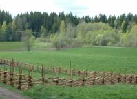 Gärdesgård i Rimforsa